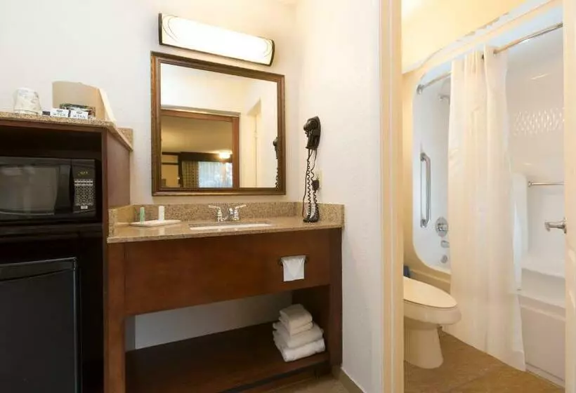 اتاق لوکس, Rosen Inn Lake Buena Vista