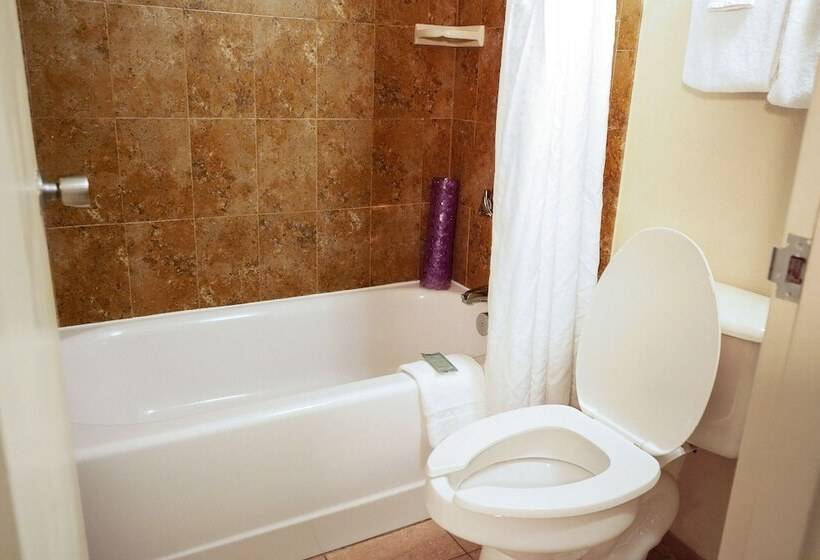 Номер Deluxe, Rosen Inn Lake Buena Vista