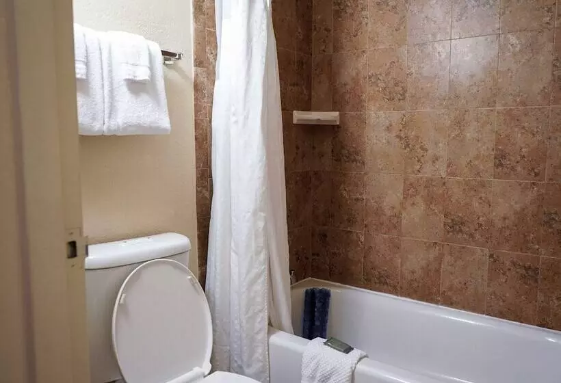اتاق لوکس, Rosen Inn Lake Buena Vista