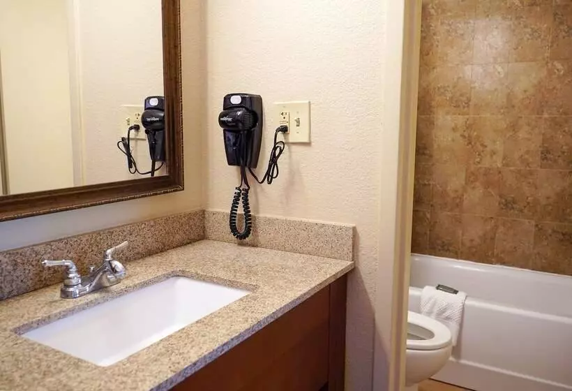 اتاق لوکس, Rosen Inn Lake Buena Vista
