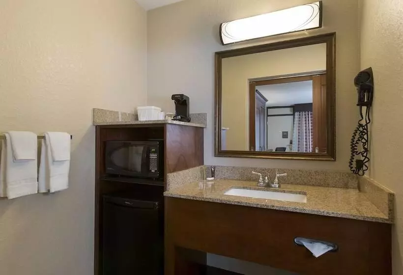 اتاق لوکس, Rosen Inn Lake Buena Vista