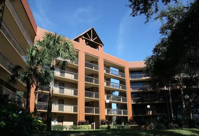 اتاق لوکس, Rosen Inn Lake Buena Vista