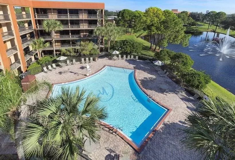 اتاق لوکس, Rosen Inn Lake Buena Vista