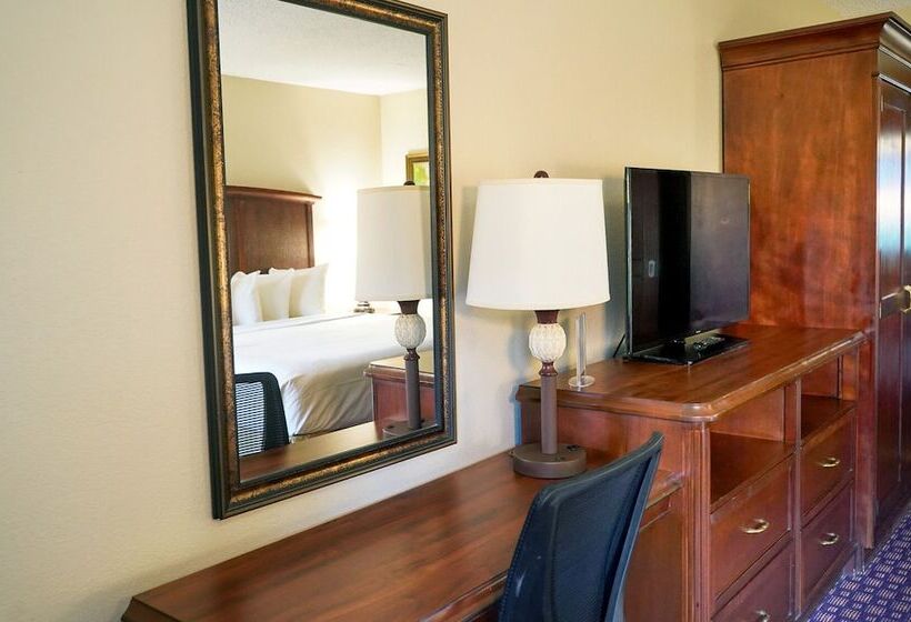 디럭스 룸, Rosen Inn Lake Buena Vista