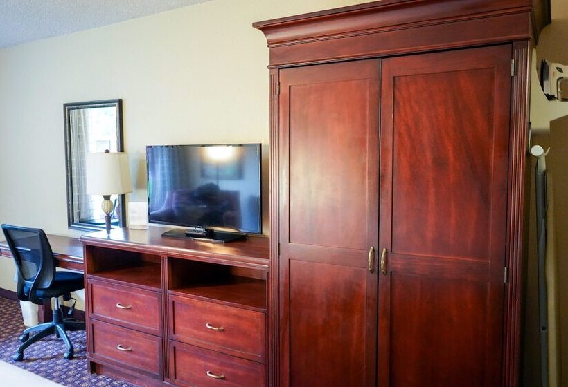 디럭스 룸, Rosen Inn Lake Buena Vista