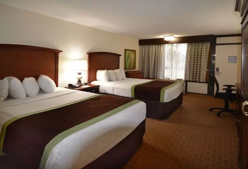 اتاق لوکس, Rosen Inn Lake Buena Vista
