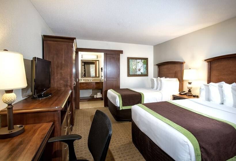 디럭스 룸, Rosen Inn Lake Buena Vista