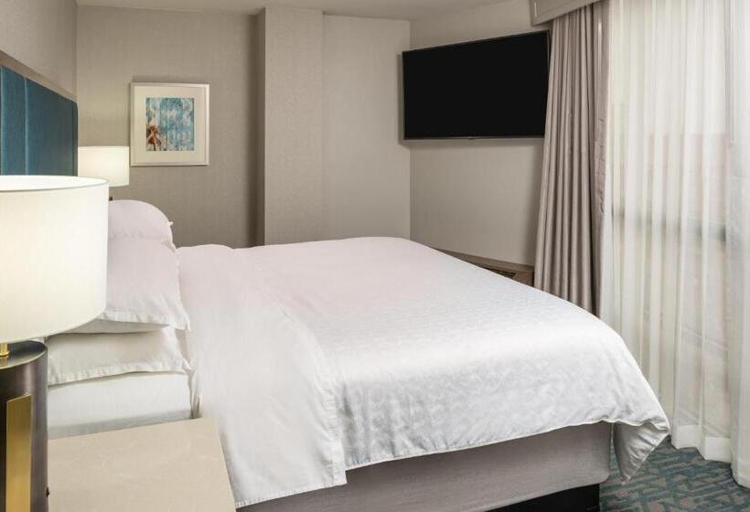 带大床的小型套房, Sheraton Dallas Hotel By The Galleria
