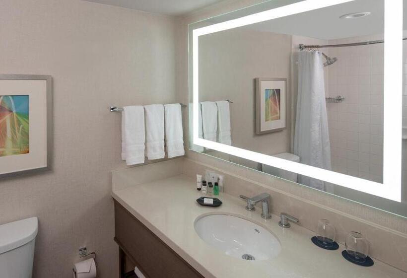 带大床的小型套房, Sheraton Dallas Hotel By The Galleria