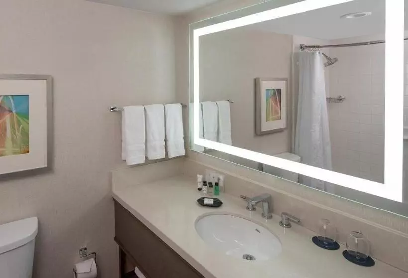 身障者適用キングサイズベッドルーム, Sheraton Dallas Hotel By The Galleria