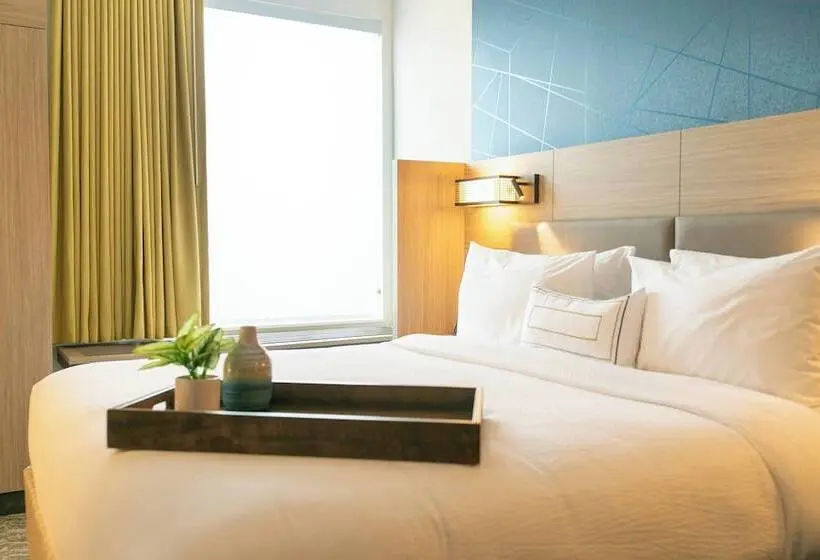 Sviitti Liikuntarajoitteisille, Springhill Suites By Marriott South Bend Notre Dame Area