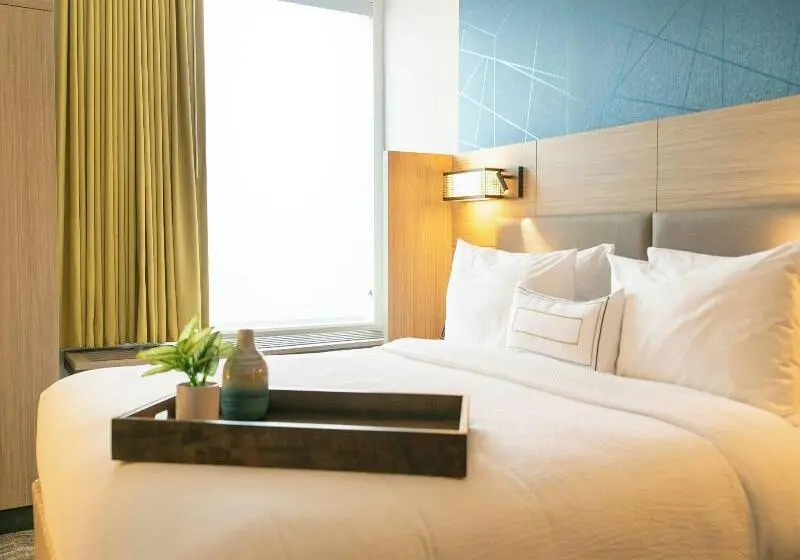 Sviitti King-vuode, Springhill Suites By Marriott South Bend Notre Dame Area