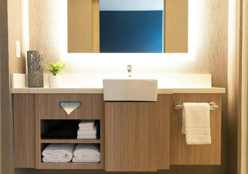 Sviitti King-vuode, Springhill Suites By Marriott South Bend Notre Dame Area