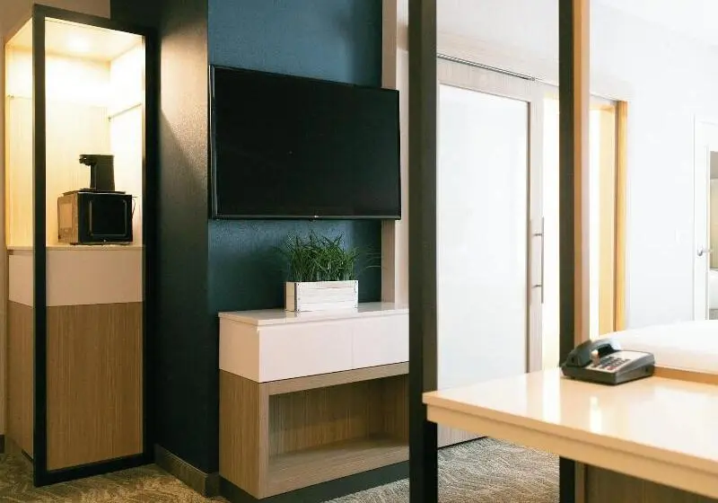 Sviitti King-vuode, Springhill Suites By Marriott South Bend Notre Dame Area