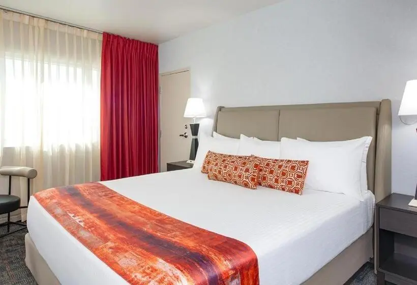 Standard Room King Size Bed