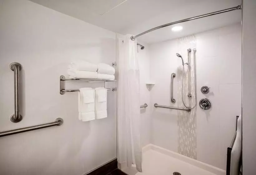 اتاق استاندارد برای معلولان, Crowne Plaza Albany  The Desmond