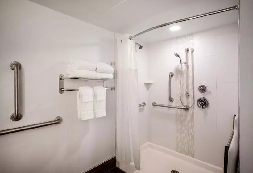اتاق استاندارد برای معلولان, Crowne Plaza Albany  The Desmond