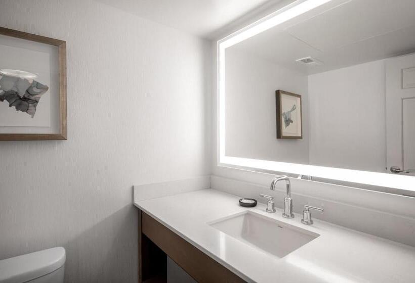 סוויטה, Crowne Plaza Albany  The Desmond