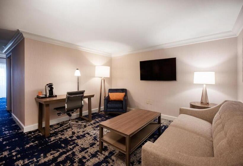 Полулюкс для Инвалидов, Crowne Plaza Albany  The Desmond