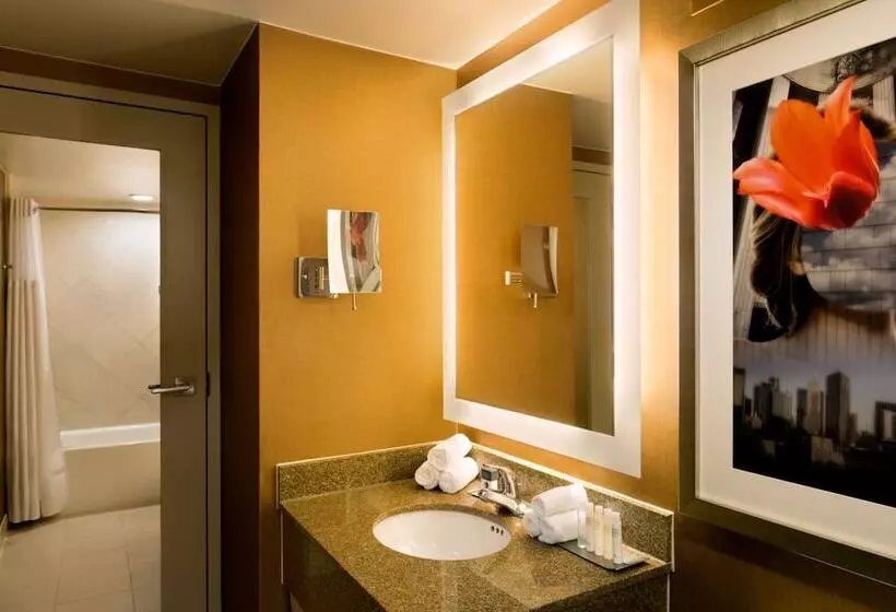 身障者適用スタンダードルーム, Doubletree By Hilton Dallascampbell Centre