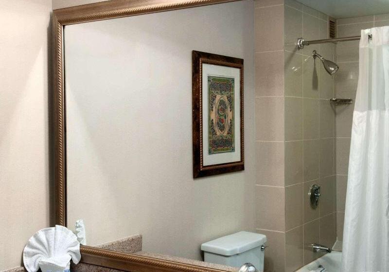 جناح سرير كينج, Doubletree By Hilton Tulsa   Warren Place