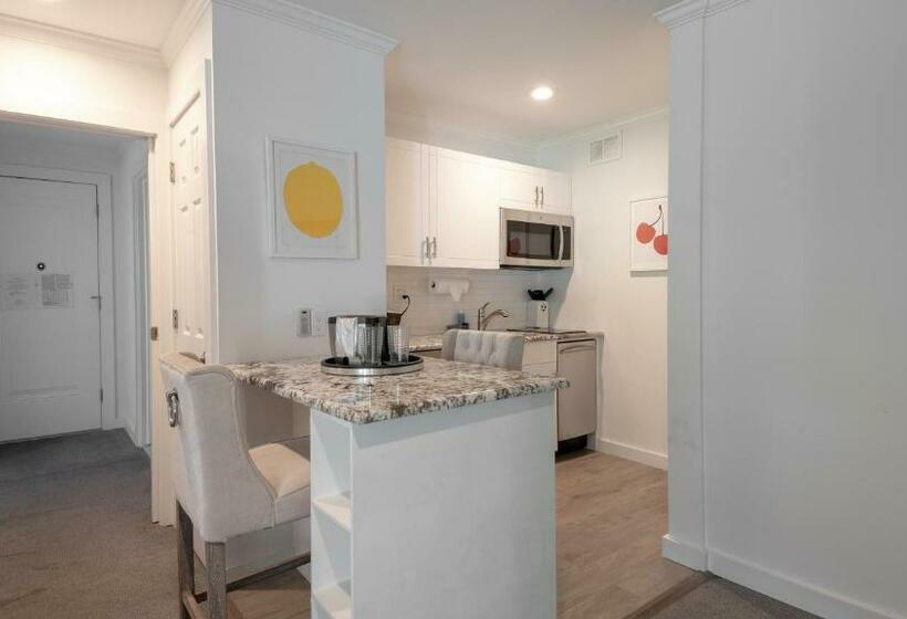 إستوديو قياسى, East Hampton House Resort