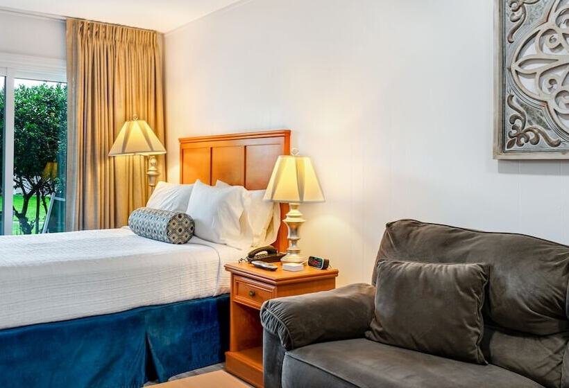 Студия Стандарт, East Hampton House Resort
