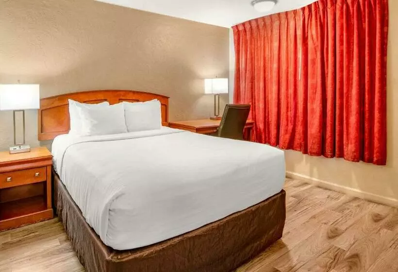 اتاق استاندارد, Econo Lodge Inn & Suites Durango