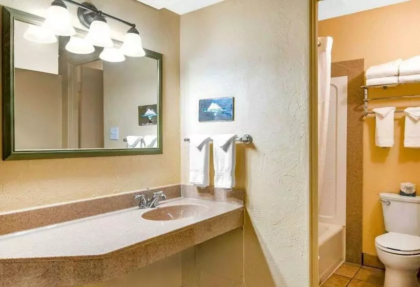 اتاق استاندارد, Econo Lodge Inn & Suites Durango