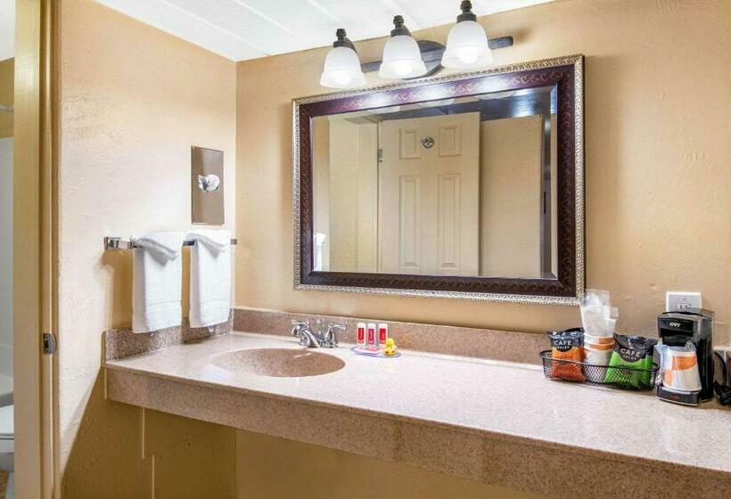 套房, Econo Lodge Inn & Suites Durango