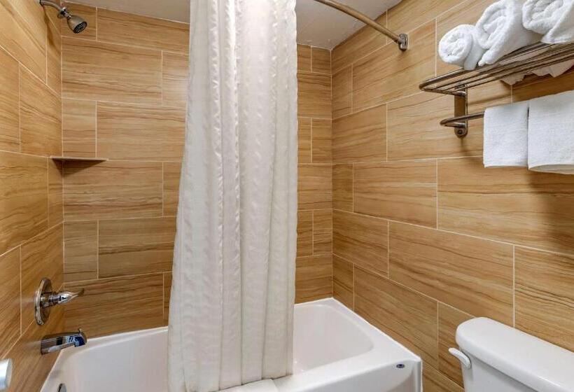 חדר סטנדרט שתי מיטות זוגיות, Econo Lodge North Charlottesville