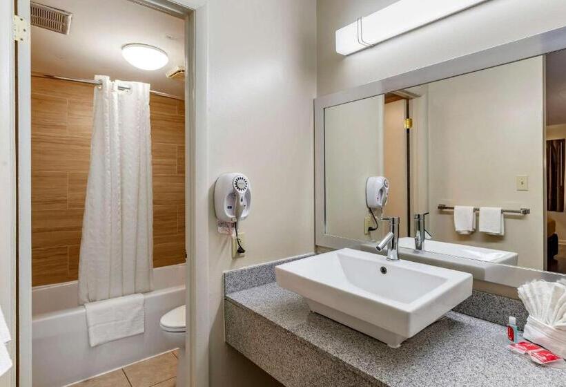 带2个双人床的标准工作室, Econo Lodge North Charlottesville