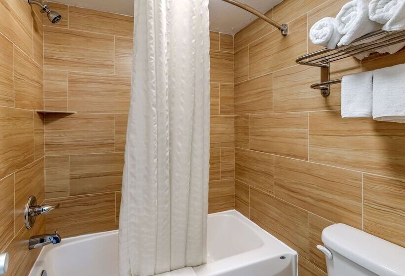 带2个双人床的标准工作室, Econo Lodge North Charlottesville