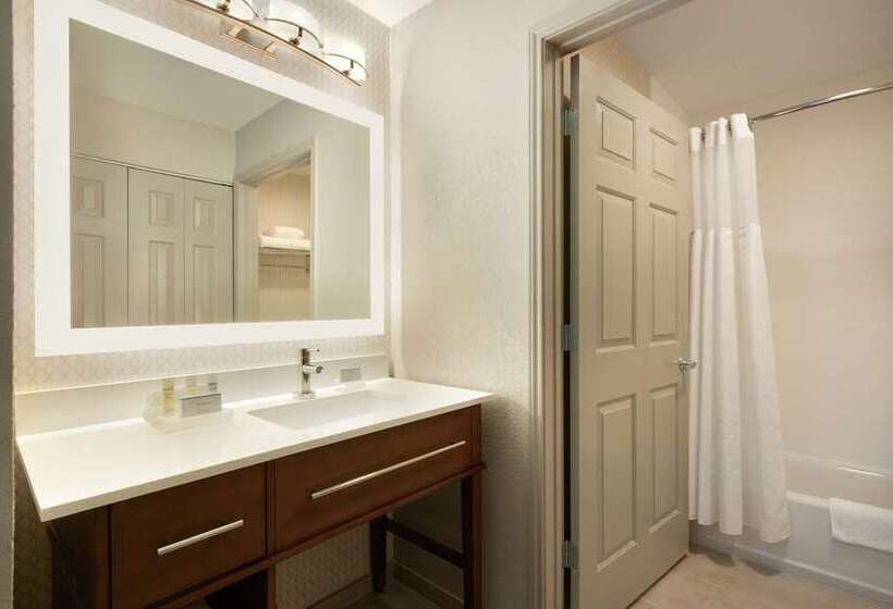 سوئیت با تخت بزرگ, Embassy Suites By Hilton Austin Central