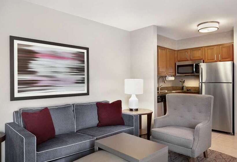 سوئیت با تخت بزرگ, Embassy Suites By Hilton Austin Central