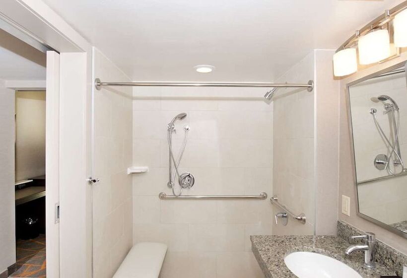 סוויטה מותאמת לאדם עם מוגבלויות, Embassy Suites By Hilton El Paso