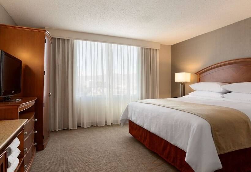סוויטה מותאמת לאדם עם מוגבלויות, Embassy Suites By Hilton El Paso