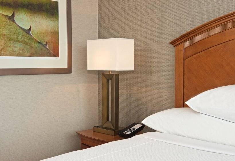 סוויטה מותאמת לאדם עם מוגבלויות, Embassy Suites By Hilton El Paso