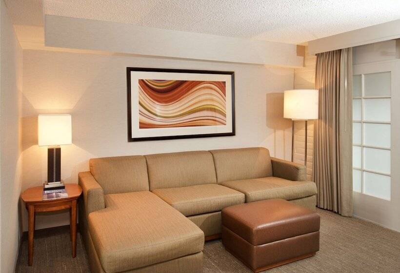 סוויטה, Embassy Suites By Hilton El Paso