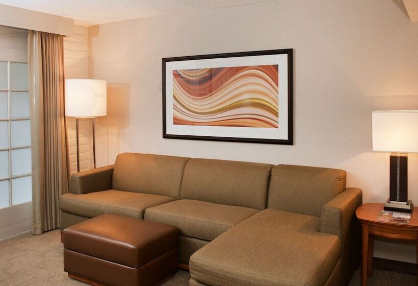 סוויטה, Embassy Suites By Hilton El Paso