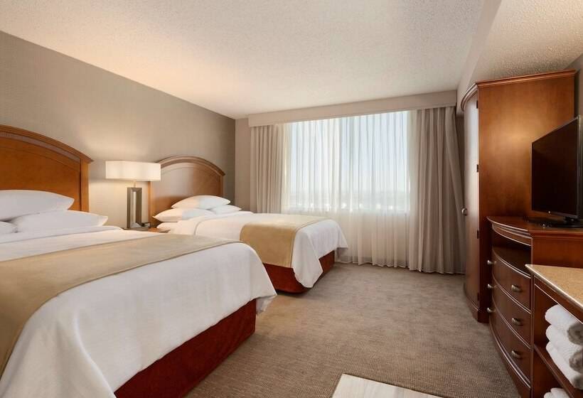 סוויטה, Embassy Suites By Hilton El Paso