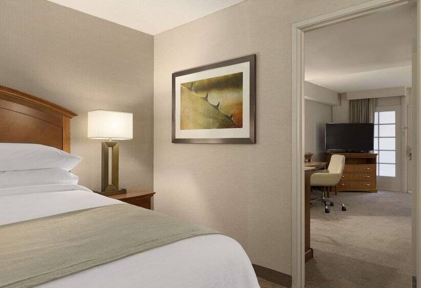 סוויטה מותאמת לאדם עם מוגבלויות, Embassy Suites By Hilton El Paso