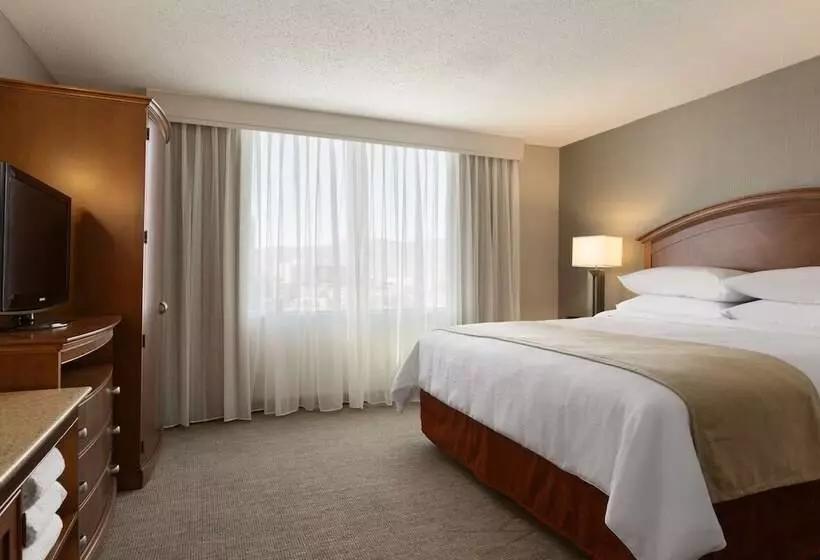 Sviitti Liikuntarajoitteisille, Embassy Suites By Hilton El Paso
