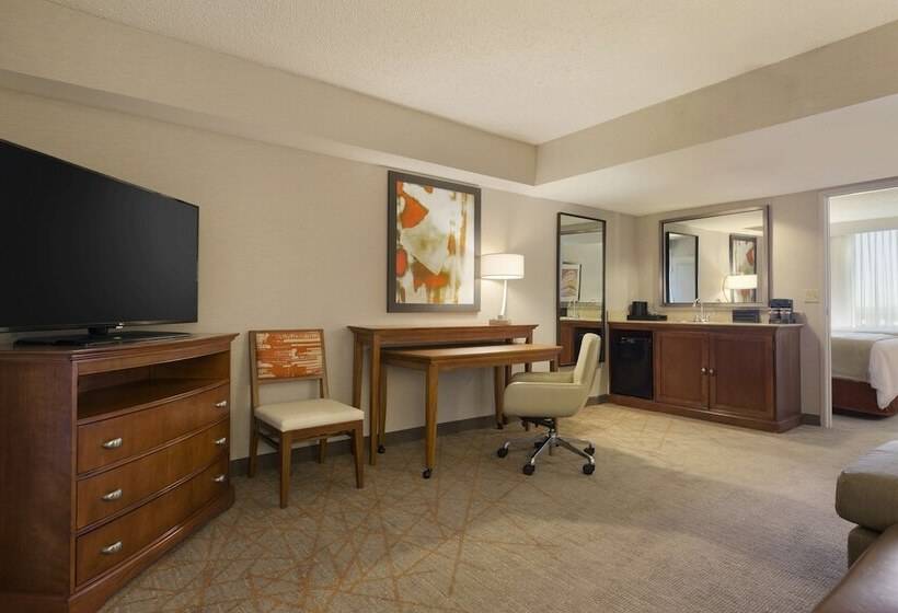 סוויטה מותאמת לאדם עם מוגבלויות, Embassy Suites By Hilton El Paso