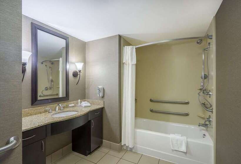 סוויטה, Embassy Suites By Hilton El Paso