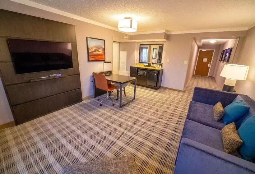 スイート（家族用）, Embassy Suites By Hilton Kansas City Overland Park