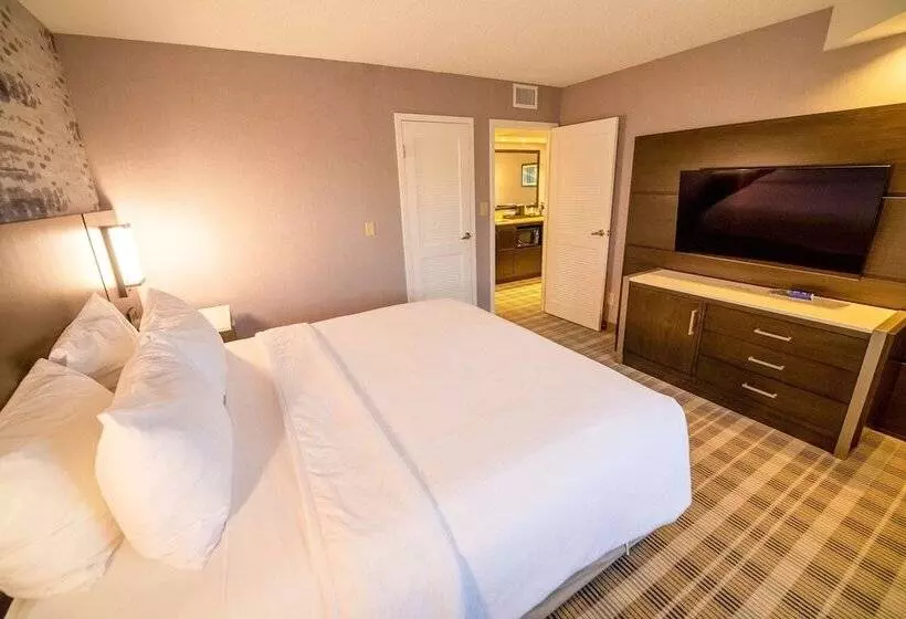 スイート（家族用）, Embassy Suites By Hilton Kansas City Overland Park