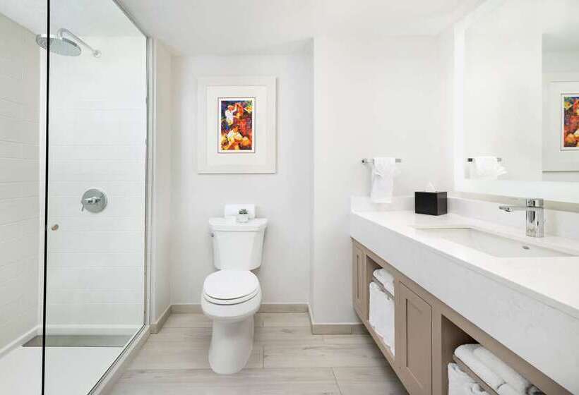 جناح, Embassy Suites By Hilton Tulsa I44