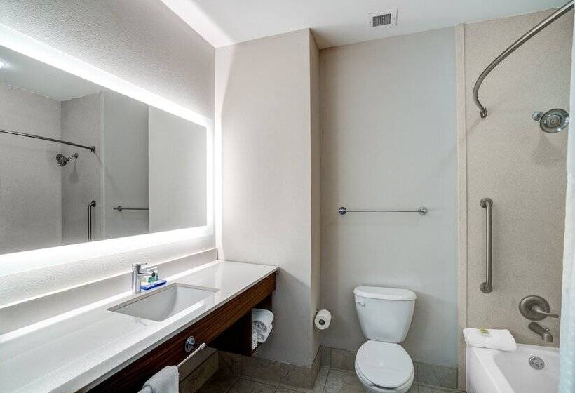 סוויטה, Holiday Inn Express Hotel Winona North, An Ihg