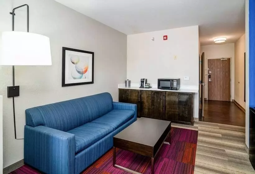 スイート, Holiday Inn Express Hotel Winona North, An Ihg